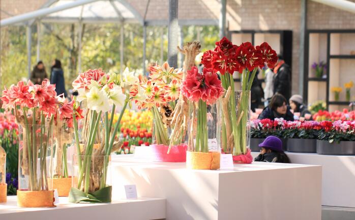 南寧花藝學校：花店處理花材的7種錯誤