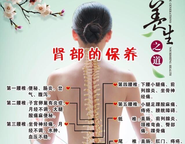 南寧美容培訓：腎部保養(yǎng)銷售話術(shù)