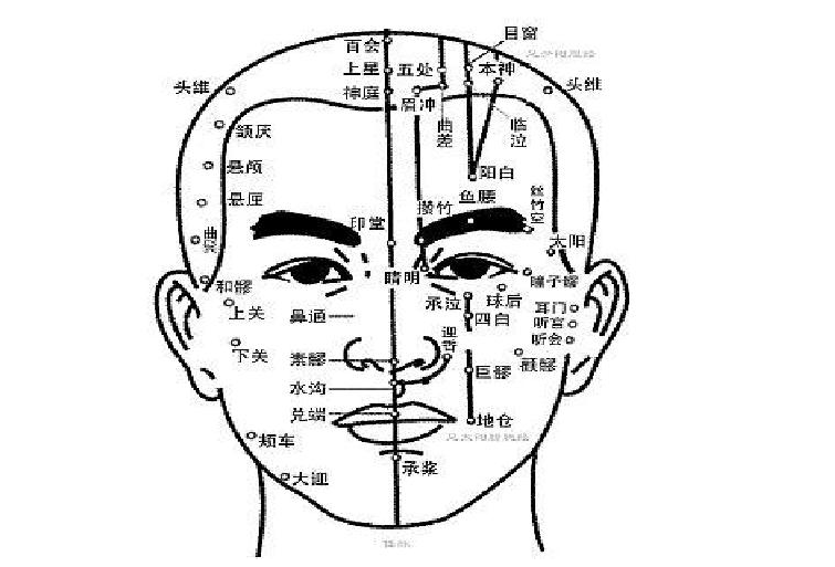 南寧美容培訓課程：認識頭部經(jīng)絡(luò)的走向