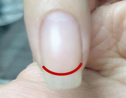 廣西美甲資訊：什么是扇形甲？