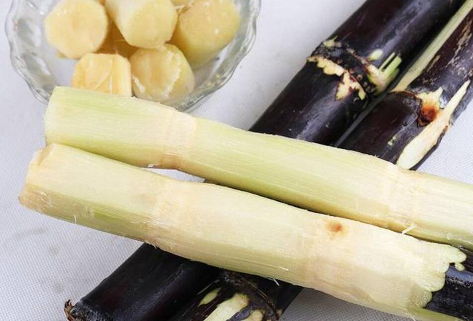 秋冬適合吃什么？南寧教美容養(yǎng)生的學(xué)校分享給你