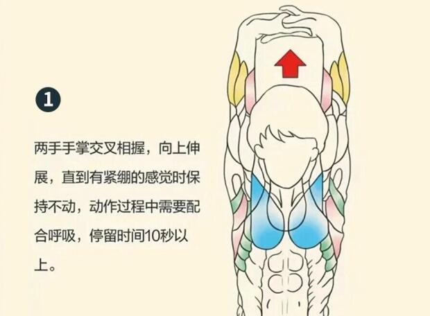 南寧美容師培訓(xùn)要學(xué)什么？背部護理就是其中一項