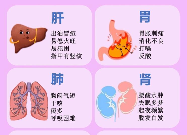 6大臟器保養(yǎng)指南，6款養(yǎng)生茶喝起來(lái) ???