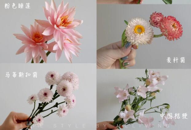 認(rèn)識(shí)常見(jiàn)花朵的名稱，廣西插花學(xué)?；ㄋ嚺嘤?xùn)基礎(chǔ)