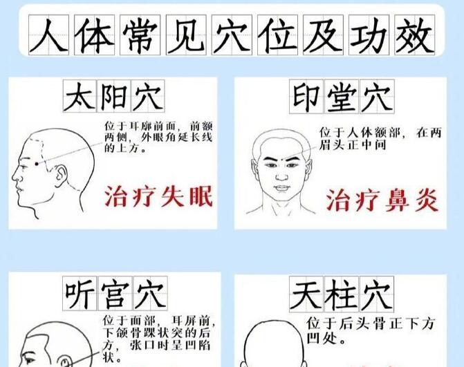 人體常見穴 位及功效，廣西專業(yè)正規(guī)美容學(xué)校講解