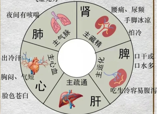 人體不同部位受寒的表現(xiàn)，廣西中醫(yī)美容培訓分享
