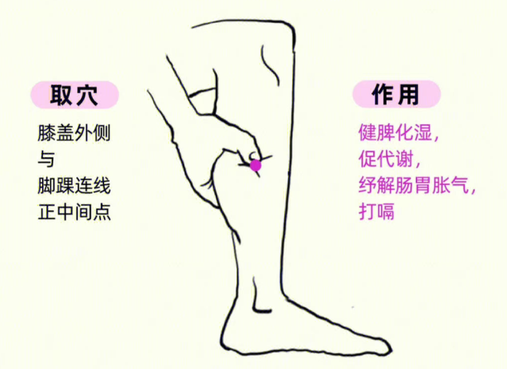 南寧中醫(yī)養(yǎng)生培訓：可以養(yǎng)胃的美容穴 位