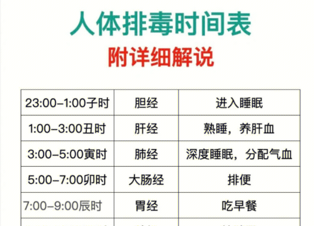 人體排毒時(shí)間表，南寧美容專業(yè)學(xué)校詳細(xì)解說(shuō)
