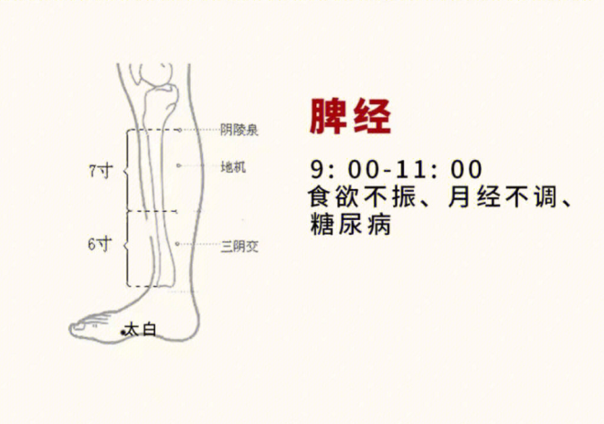 日常容易堵塞的身體部位，廣西美容基礎(chǔ)教學(xué)