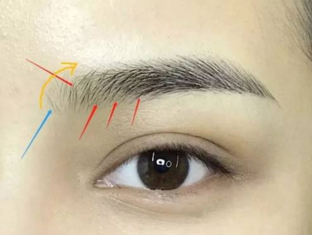 廣西培訓(xùn)紋眉毛-紋繡新手技術(shù)提升技巧之眉頭處理