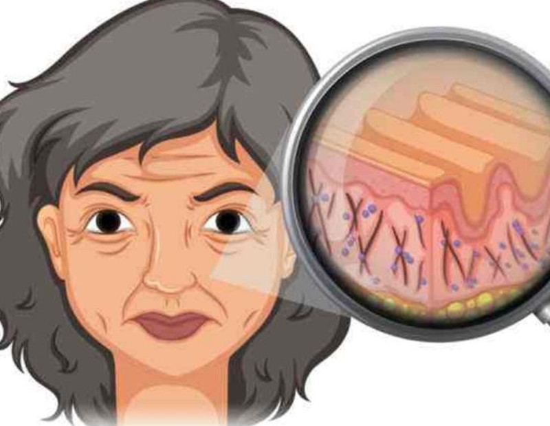 女性如何延緩衰老？南寧皮膚管理培訓(xùn)班講解