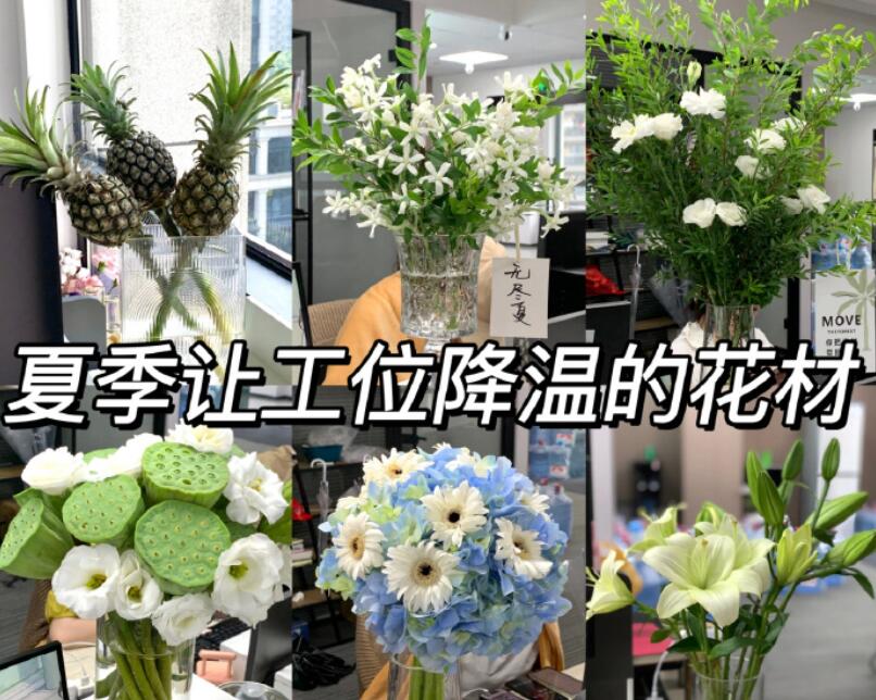 自帶降溫效果的花材，廣西學鮮花技術(shù)