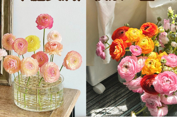 小眾但花語很美的花卉，南寧鮮花知識(shí)培訓(xùn)