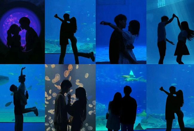 在海洋館怎么拍照？廣西人物形象設(shè)計專業(yè)支招