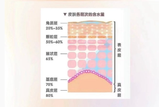 皮膚越補(bǔ)水越干？廣西美容護(hù)膚中心分析原因